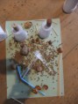 /album/workshopy/dscf8578-jpg/